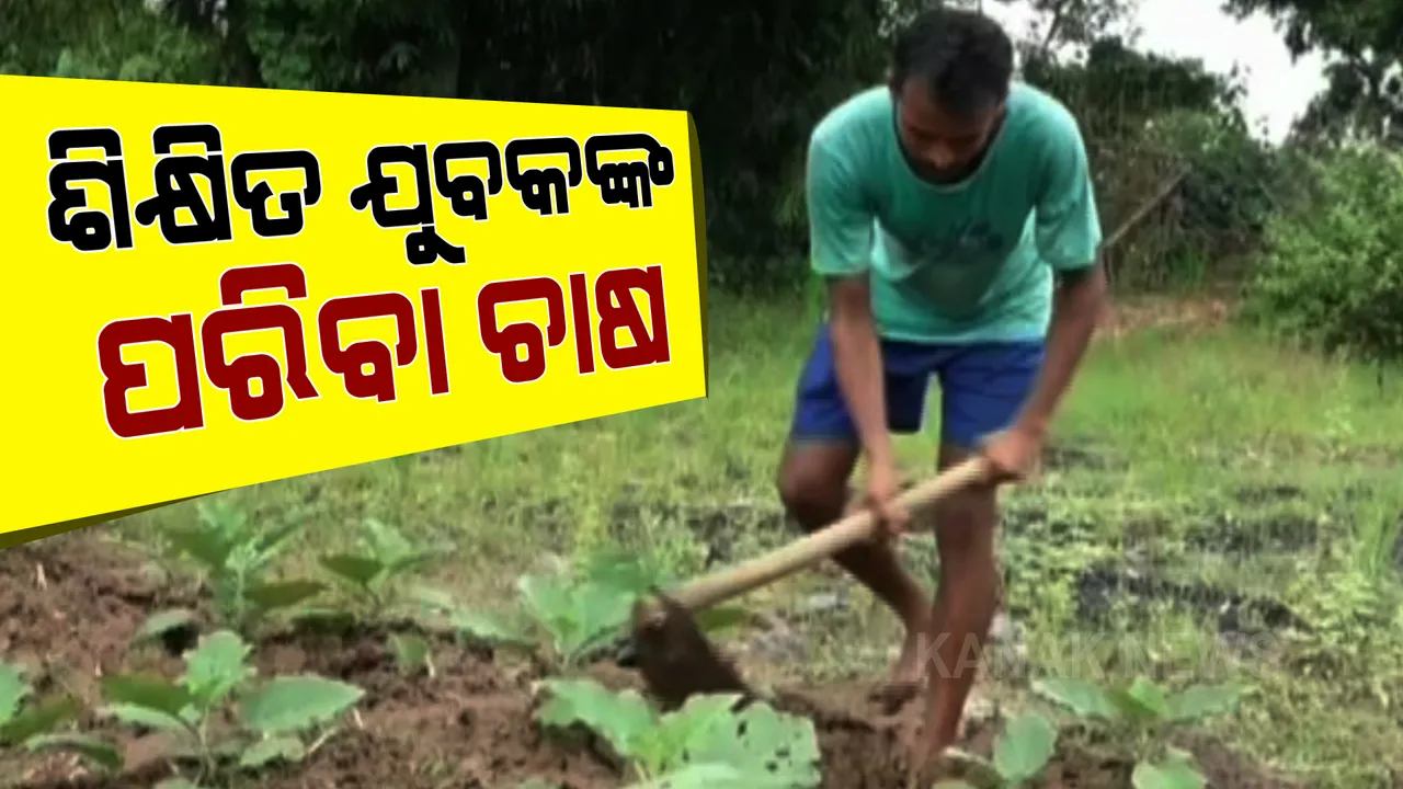  ଚାକିରି ଛାଡିଲେ ଚାଷ କଲେ: ୪ ଏକର ଜମିରେ ଚାଷ କରୁଛନ୍ତି ଉଚ୍ଚ ଶିକ୍ଷିତ ଯୁବକ