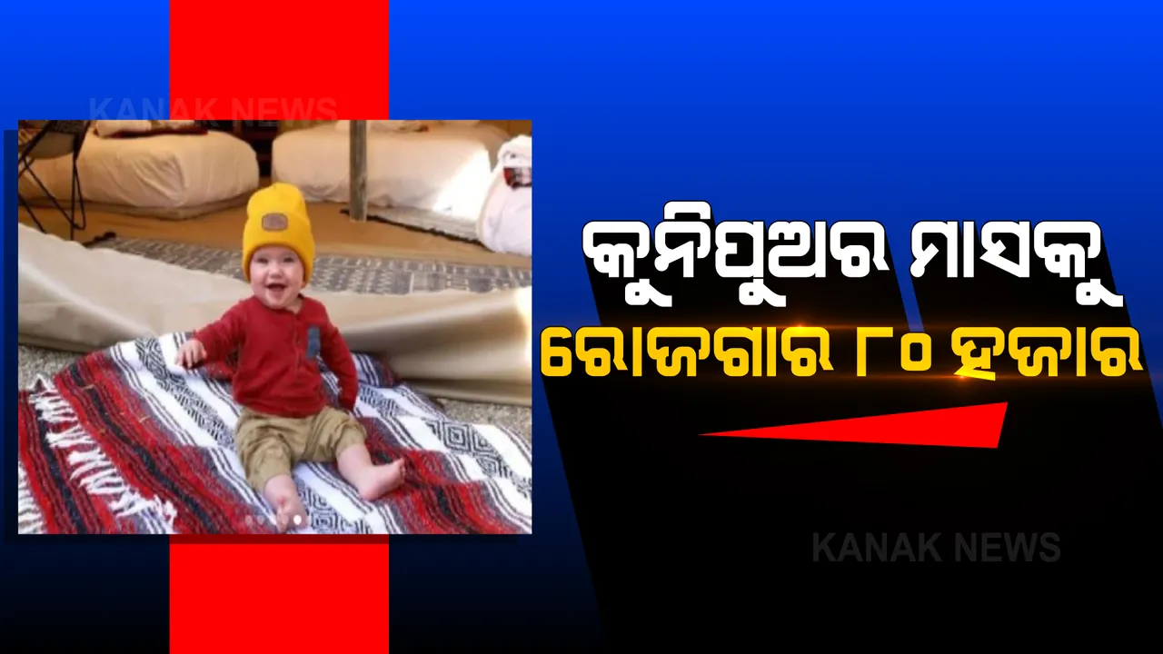  ମାତ୍ର ୧ ବର୍ଷ ବୟସରେ ବିଶ୍ୱ ବୁଲୁଛି କୁନି ପୁଅ , ମାସକୁ ରୋଜଗାର କରୁଛି ୮୦ ହଜାର ଟଙ୍କା