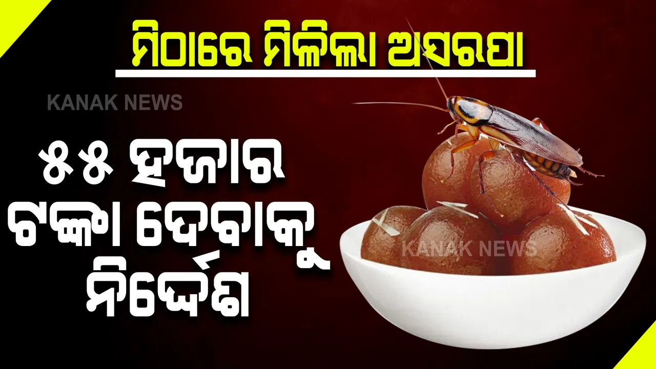  ରେଷ୍ଟୁରାଣ୍ଟରେ ଗୁଲାବ ଜାମୁନ ପ୍ଲେଟରେ ମରିପଡିଥିଲା ଅସରପା, ଗ୍ରାହକଙ୍କୁ ୫୫ ହଜାର ଟଙ୍କା ଦେବାକୁ ନିର୍ଦ୍ଦେଶ ଦେଲେ ଉପଭୋକ୍ତା କୋର୍ଟ ।