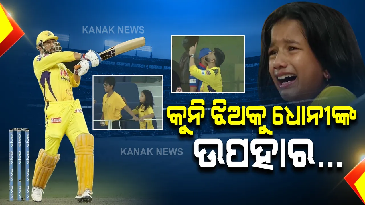 ମାହିଙ୍କ ମନ ଜିଣିଲା କୁନିଝିଅ...