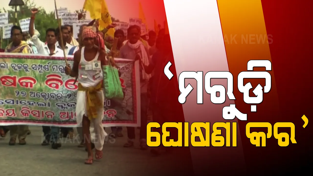  ପଶ୍ଚିମ ଓଡ଼ିଶାରେ ଜୋର ଧରିଲା ମରୁଡି ଘୋଷଣା ଦାବି । ହକ୍ ପାଇଁ ହାତରେ ହଳ ଲଙ୍ଗଳ ଧରି ରାସ୍ତାକୁ ଓହ୍ଲାଇଲେ ଚାଷୀ ।