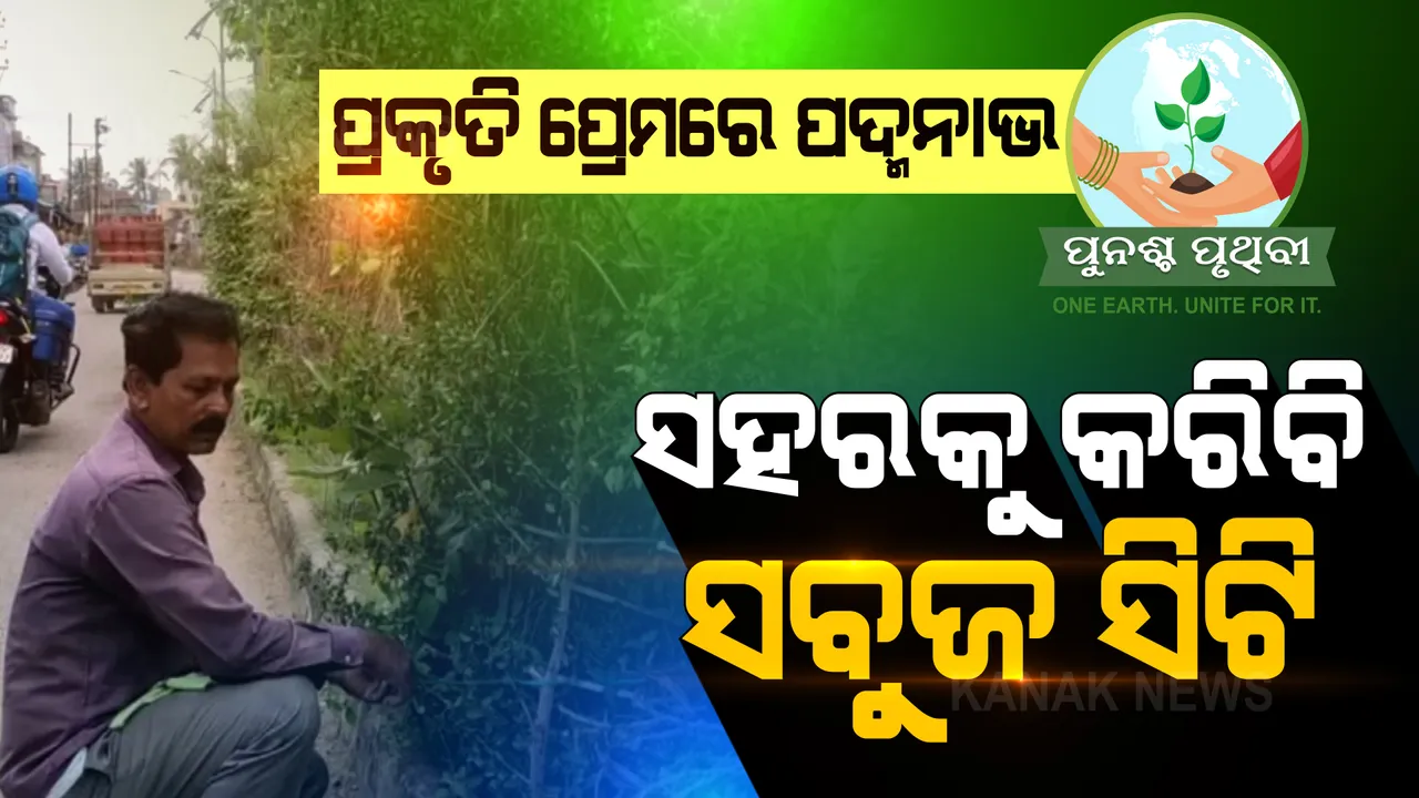  ପଦ୍ମନାଭ: ପୋଲସରାର ଗଛ ମଣିଷ । ସହରକୁ ସବୁଜ କରିବାକୁ ନିଜେ ଟଙ୍କା ଖର୍ଚ୍ଚ କରି ଲଗାଉଛନ୍ତି ଗଛ ।