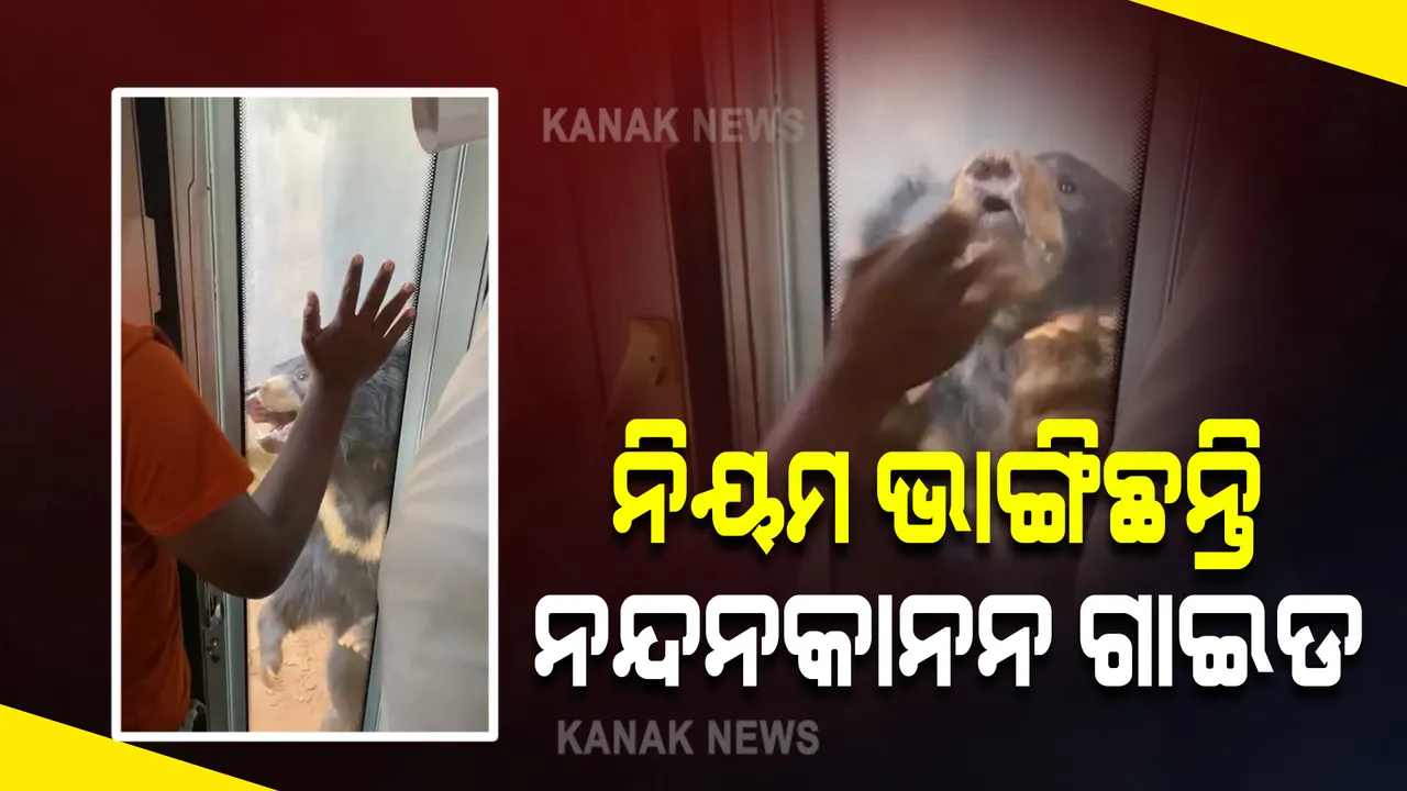  ନନ୍ଦନକାନନରେ ସଫାରୀ ବସ୍ ଉପରେ ଭାଲୁ ଆକ୍ରମଣ ଘଟଣା : ନିୟମଉଲ୍ଲଙ୍ଘନକାରୀଙ୍କ ବିରୋଧରେ କାର୍ଯ୍ୟାନୁଷ୍ଠାନ ନେବେ ନନ୍ଦନକାନନ କର୍ତୃପକ୍ଷ