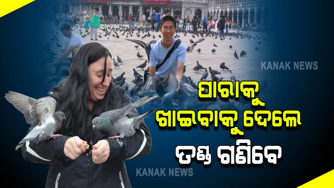  ପାରାକୁ ଖାଇବାକୁ ଦେଉଥିଲେ ସାବଧାନ । ଜରିମାନା ଗଣିବେ