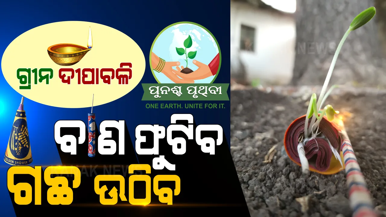  ଫୁଟିବ ବାଣ, ଉଠିବ ଗଛ... ଏଥର ଦୀପାବଳିରେ ଫୁଟାନ୍ତୁ ମଞ୍ଜି ବାଣ । ପରିବେଶକୁ ସୁରକ୍ଷିତ ରଖିବ ସିଡ୍ କ୍ରାକର...