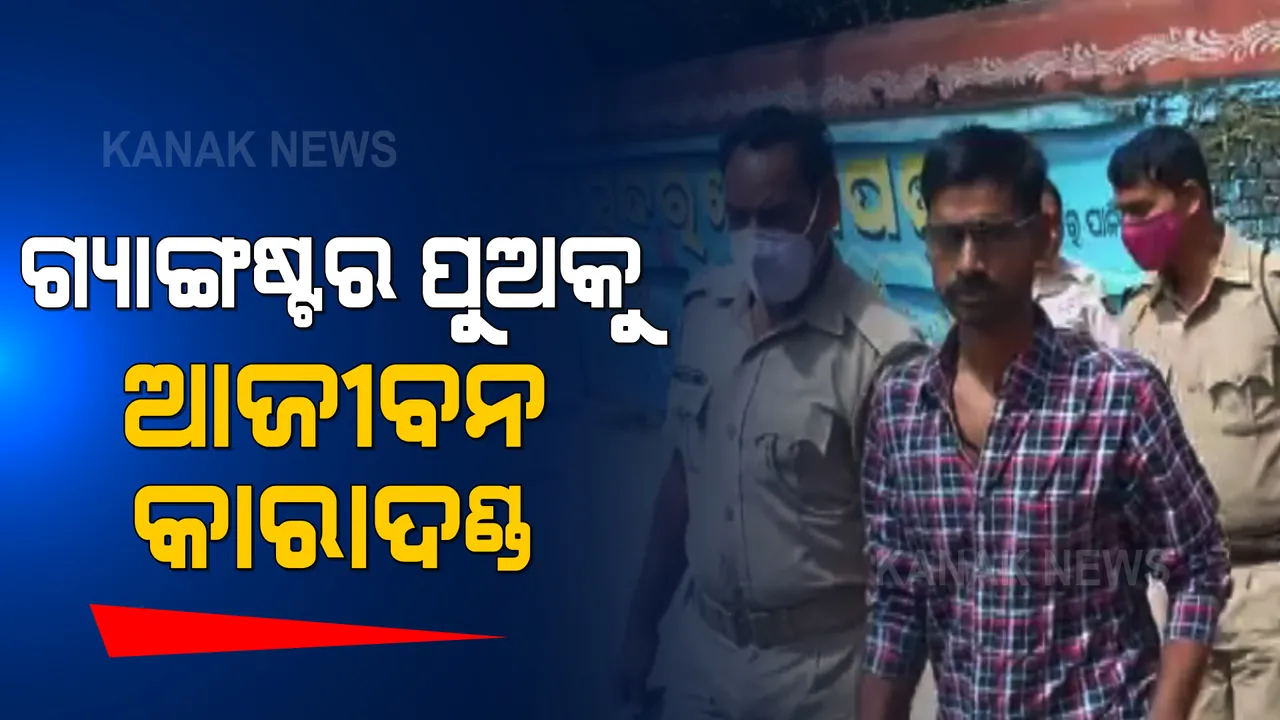  ଗ୍ୟାଙ୍ଗଷ୍ଟର ହାଇଦରର ପୁଅକୁ ଆଜୀବନ କାରାଦଣ୍ଡ: ମୁନ୍ନାକୁ ଦଣ୍ଡାଦେଶ ଶୁଣାଇଲେ କୋର୍ଟ  