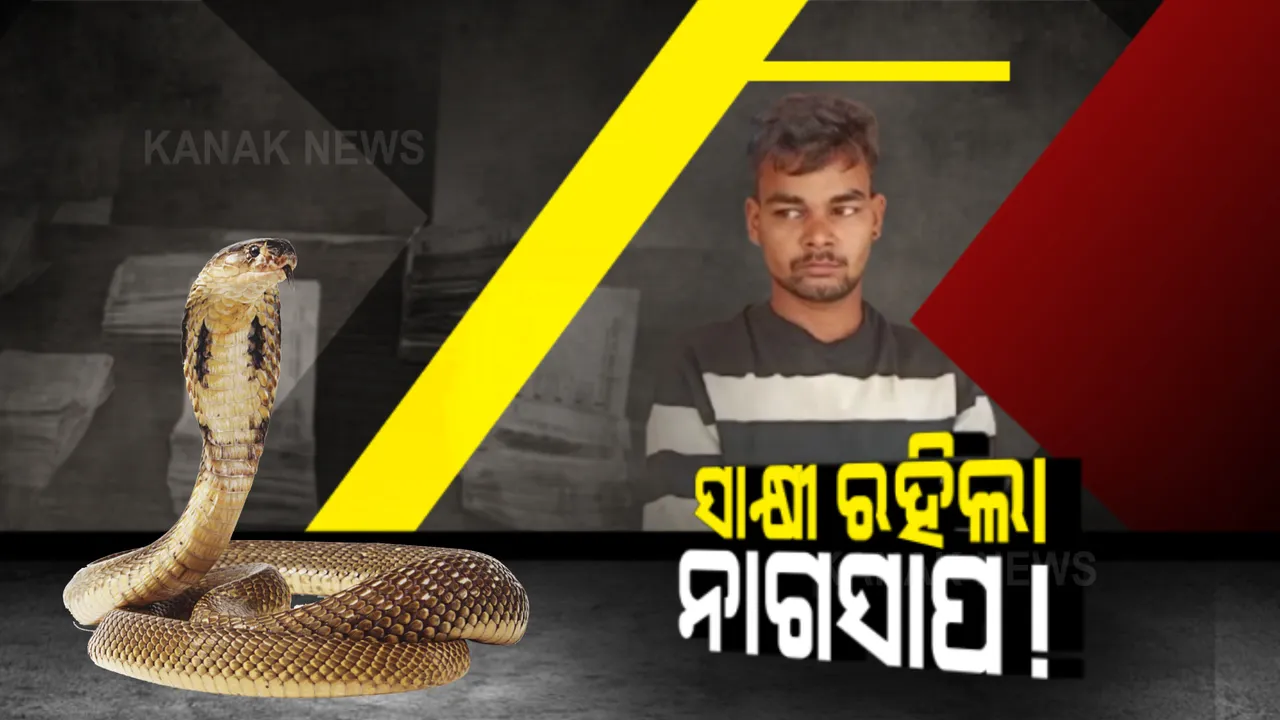 ଚୋରିକଲା ଚୋର, ସାକ୍ଷୀ ରହିଲା ସାପ... ମନ୍ଦିର ହୁଣ୍ଡିର ଚୋରି ପରେ ସ୍ୱପ୍ନରେ ଆସୁଥିଲା ନାଗ ।
