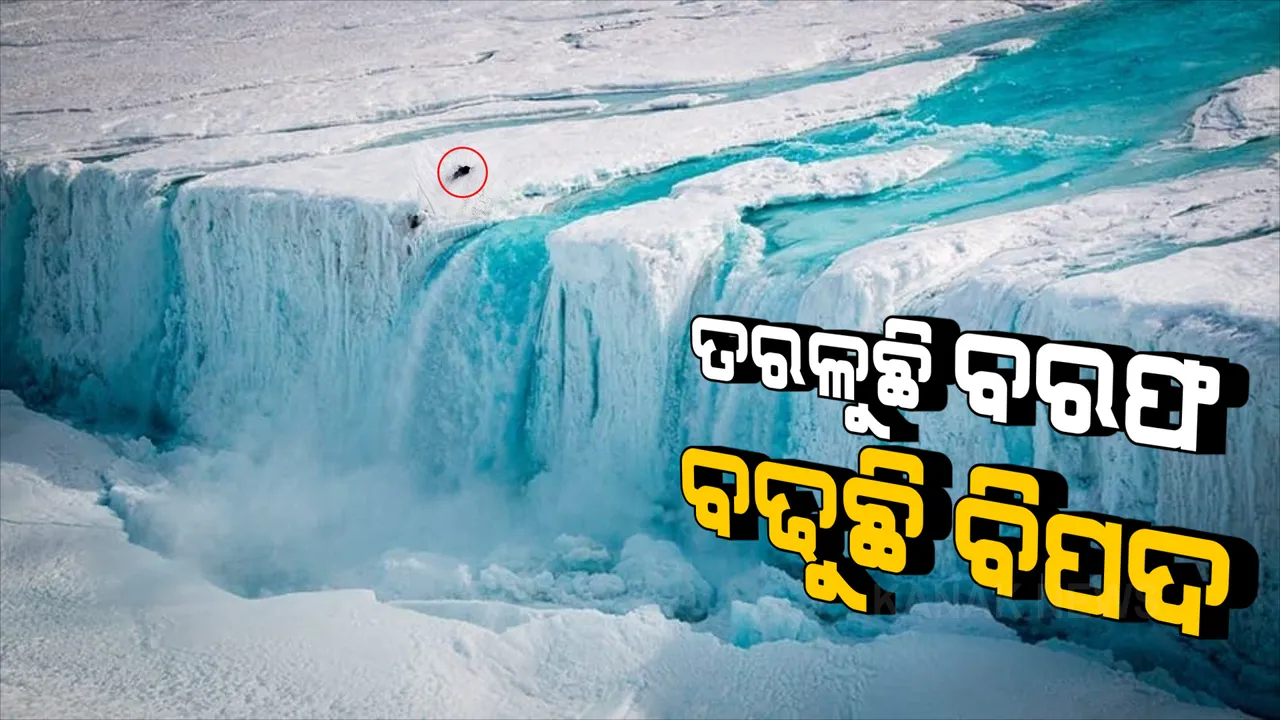  ଆର୍କଟିକ ବରଫ ପରସ୍ତରେ ଲମ୍ବା ଛିଦ୍ର । ଦୁନିଆ ପାଇଁ ବଢୁଛି ବିପଦ...