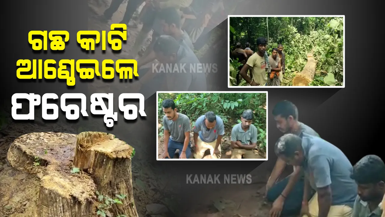  କାଠ ଚୋରି କରି ଧରାପଡ଼ିଲେ ଫରେଷ୍ଟର ଓ ଦୁଇ ବନ କର୍ମଚାରୀ