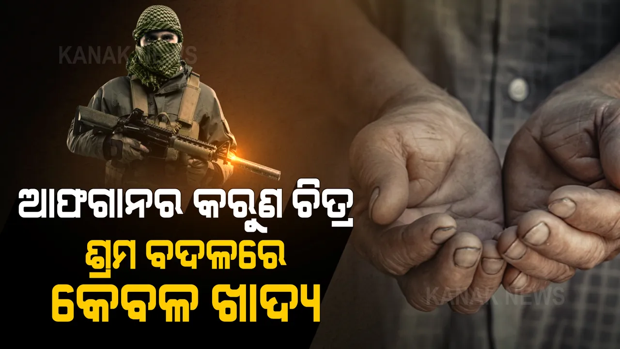  ଅର୍ଥ ସଂକଟରେ ଆଫଗାନରେ ତାଲିବାନ ସରକାର , ଶ୍ରମ ବଦଳରେ ଶ୍ରମିକଙ୍କୁ ଦେଉଛି କେବଳ ଗହମ