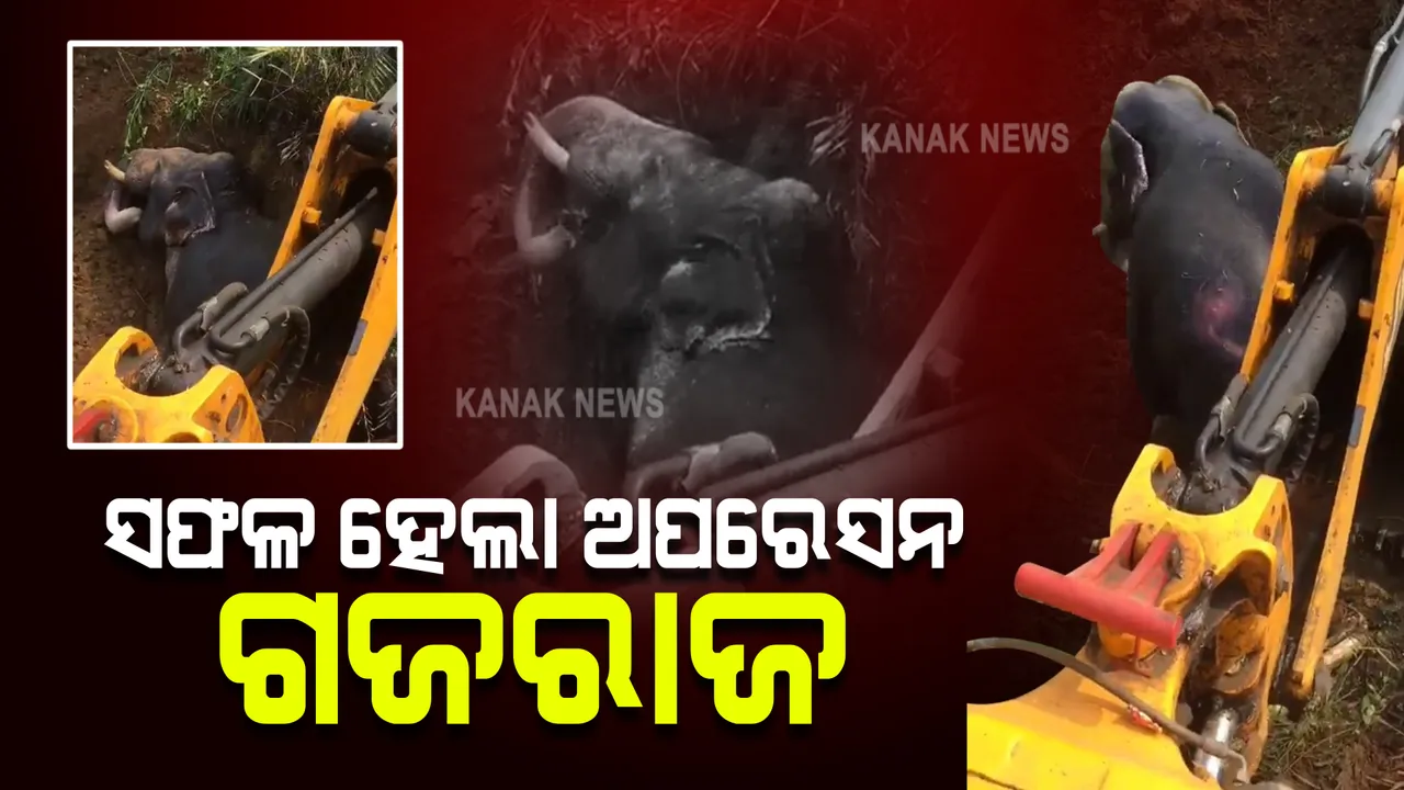  ସଫଳ ହେଲା ଅପରେସନ ଗଜରାଜ : ଗାତ ଭିତରେ ଫସିଥିବା ଦନ୍ତାହାତୀକୁ ଉଦ୍ଧାର କଲେ ବନବିଭାଗ ଓ ଅଗ୍ନିଶମ କର୍ମଚାରୀ