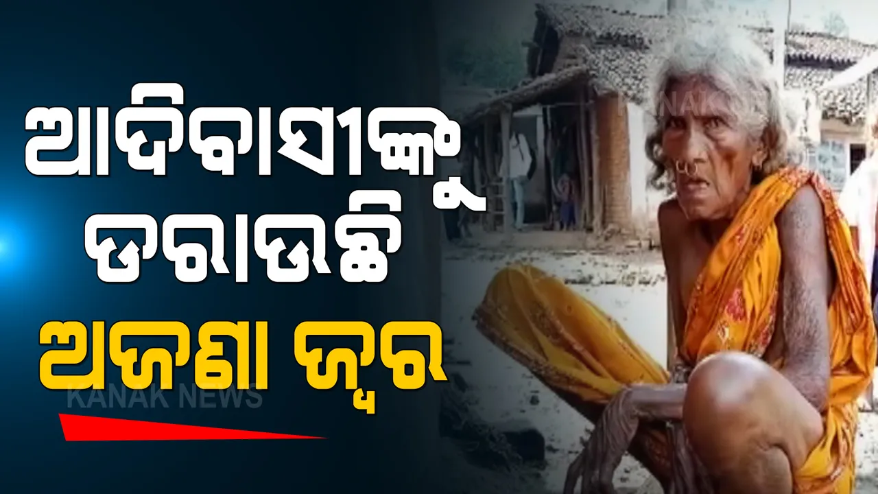  ଆଦିବାସୀ ଗାଁରେ ଅଜଣା ଜ୍ୱର ଆତଙ୍କ: ଗାଁରେ ପହଂଚି ଜ୍ୱରର କାରଣ ଖୋଜୁଛି ସ୍ୱାସ୍ଥ୍ୟ ବିଭାଗ ଟିମ୍