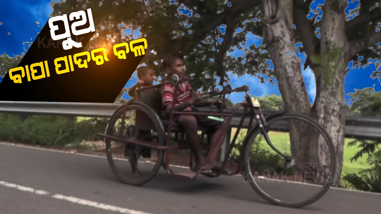  ୭ ବର୍ଷର କୁନି ପୁଅ ହୋଇଛି ବାପା ପାଦର ବଳ । ଭଙ୍ଗା ସାଇକେଲରେ ଦିବ୍ୟାଙ୍ଗ ବାପାଙ୍କୁ ବସାଇ ଠେଲି ଠେଲି ନେଉଛି ପୁଅ ।