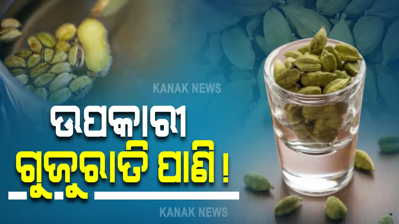  ସ୍ୱାସ୍ଥ୍ୟ ପାଇଁ ଉପକାରୀ ଗୁଜୁରାତି ପାଣି ! ଦୂର ହୁଏ ଏହି ସବୁ ସମସ୍ୟା