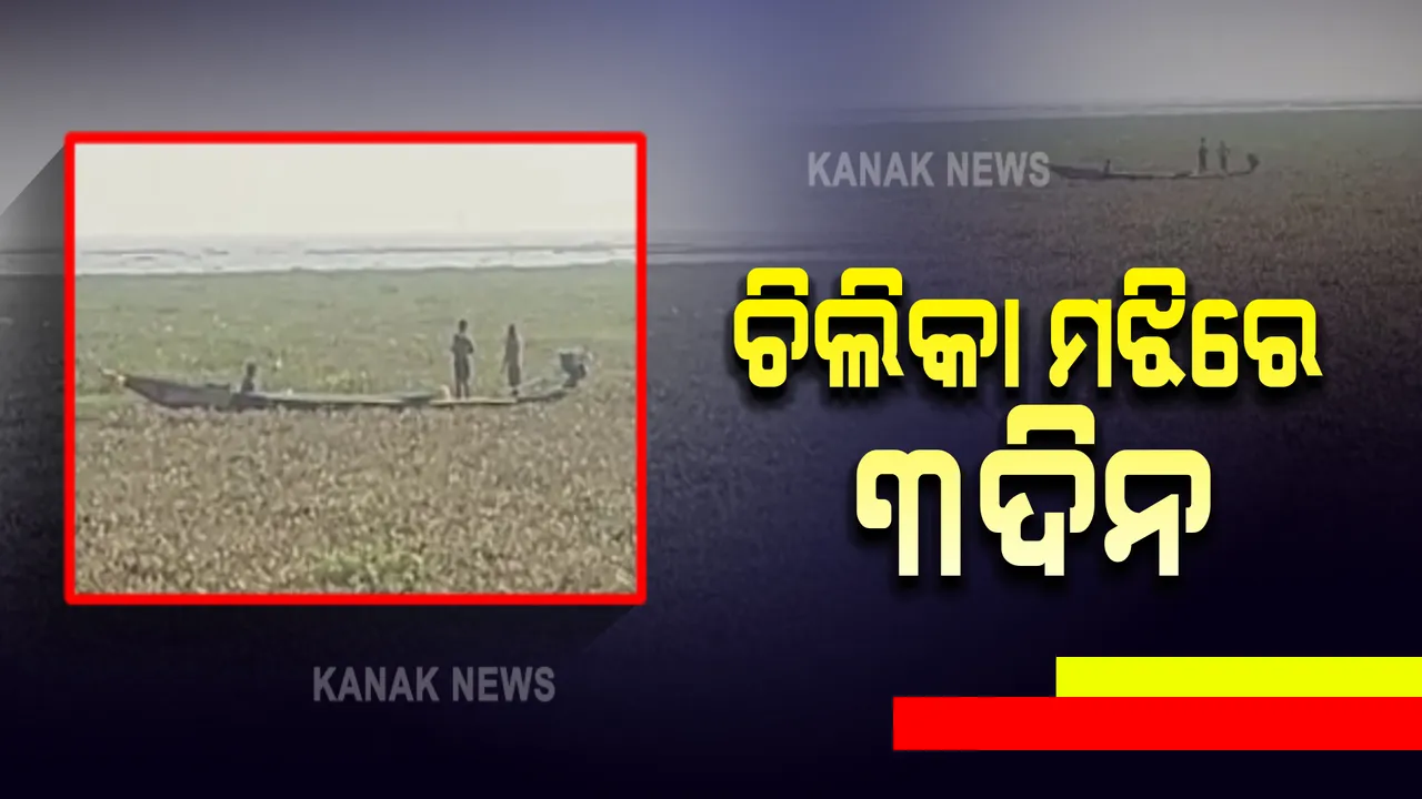  ୩ ଦିନ ହେଲା ଚିଲିକା ମଝିରେ ଫସିରହିଛନ୍ତି ମତ୍ସ୍ୟଜୀବୀ : ସାଙ୍ଗରେ ଅଛି ୧୦ ବର୍ଷର ପିଲା