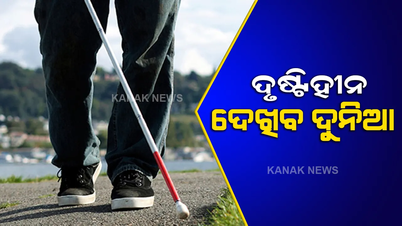  ବୈଜ୍ଞାନିକଙ୍କ ବଡ ସଫଳତା, ଏହି ଚିପ୍ ମାଧ୍ୟମରେ ଏବେ ଦୃଷ୍ଟିହୀନ ବି ଦେଖିବ ଦୁନିଆ