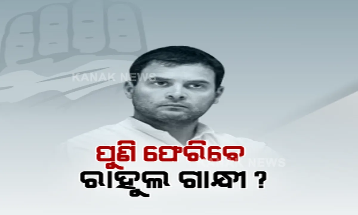  ପୁଣି କଂଗ୍ରେସର ମଙ୍ଗୁଆଳ ହୋଇପାରନ୍ତି ରାହୁଲ ଗାନ୍ଧୀ । ୱାର୍କିଂ କମିଟି ବୈଠକ ପରେ କହିଲେ ସଭାପତି ପଦ ପାଇଁ କରିପାରନ୍ତି ବିଚାର ।