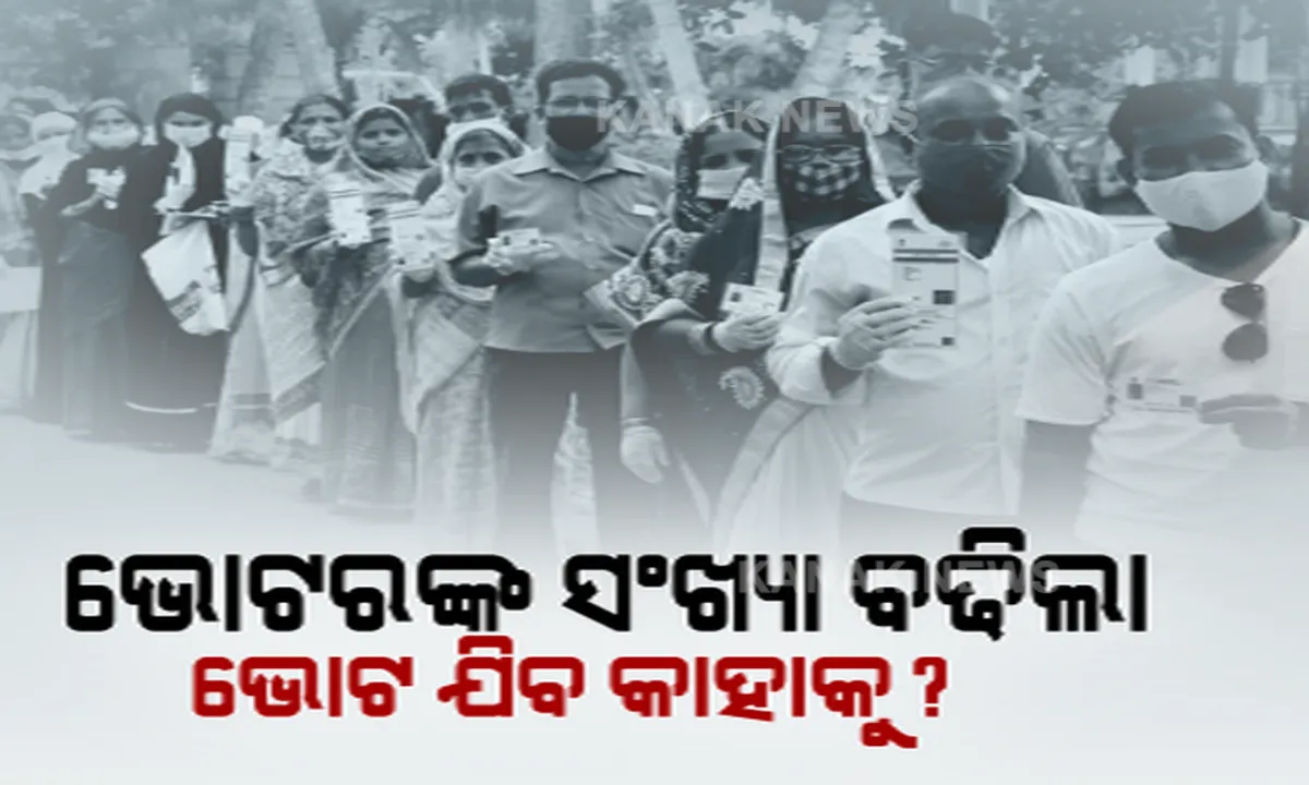  ପିପିଲିରେ କିଏ ମାରିବ ବାଜି? ସାଧାରଣ ନିର୍ବାଚନ ଅପେକ୍ଷା ଉପ ନିର୍ବାଚନରେ ବଢିଲା ଭୋଟ ଦାନ ହାର । 