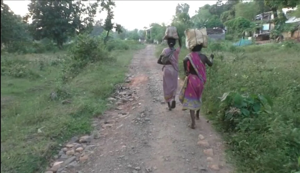  ମାଙ୍କଡିଆ ଜନଜାତିକୁ ମିଳିପାରୁନି ସରକାରୀ ସହାୟତା । ଏବେ ବି ଦୁର୍ଦ୍ଦିନରେ କଟୁଛି ଜୀବନ ।