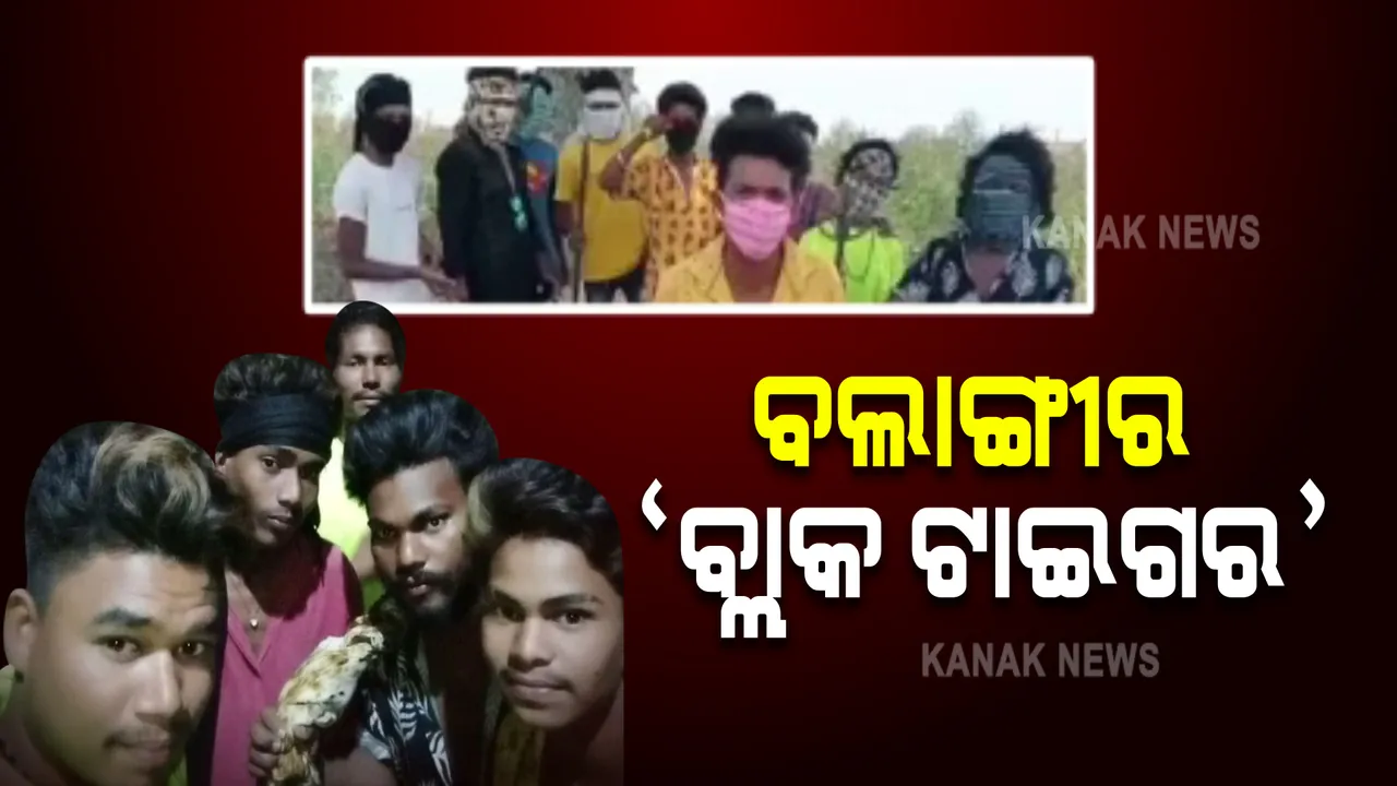  ବ୍ଲାକ ଟାଇଗର ଗ୍ୟାଙ୍ଗକୁ ନେଇ ଚର୍ଚ୍ଚା : ହାତରେ ମାରଣାସ୍ତ୍ର ଧରି ଭିଡିଓ କରିବା ପରେ ସୋସିଆଲ ମିଡିଆରେ କଲେ ପୋଷ୍ଟ