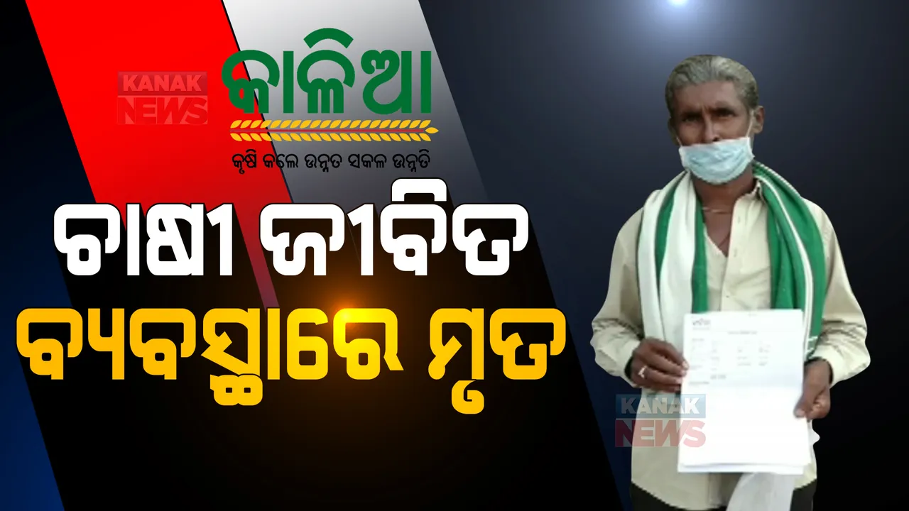  କାଳିଆ ଯୋଜନାରେ ହିତାଧିକାରୀଙ୍କୁ ମାରିଦେଲା ବ୍ୟବସ୍ଥା । ଚାଷୀ ଜଣଙ୍କ ଜୀବିତ ଥିବା ବେଳେ, କାଳିଆ ଯୋଜନାରେ ଦର୍ଶାଯାଇଛି ମୃତ ।