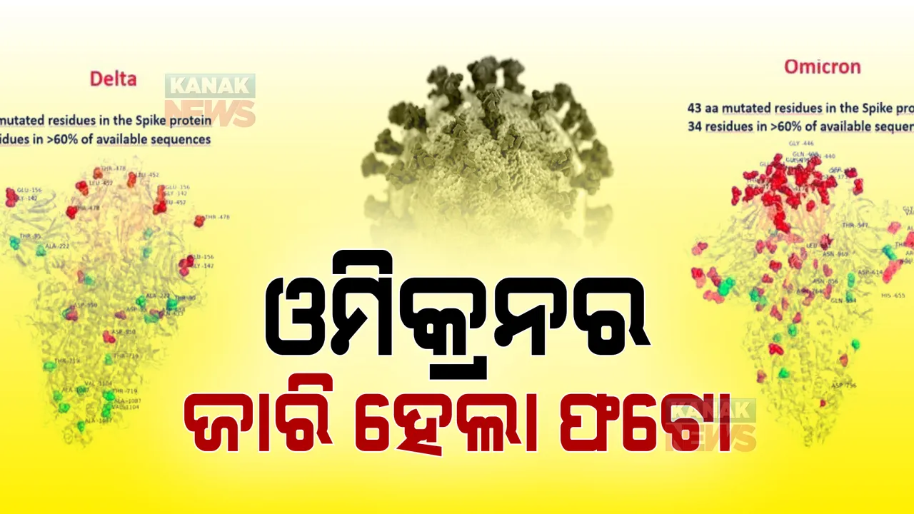  ସାମ୍ନାକୁ ଆସିଲା ଓମିକ୍ରନ ଭାରିଆଣ୍ଟର ଫଟୋ । କରୋନା ନୂଆ ଭାରିଆଣ୍ଟକୁ ନେଇ ଚିନ୍ତା ପ୍ରକଟ କଲେ ବୈଜ୍ଞାନିକ ।