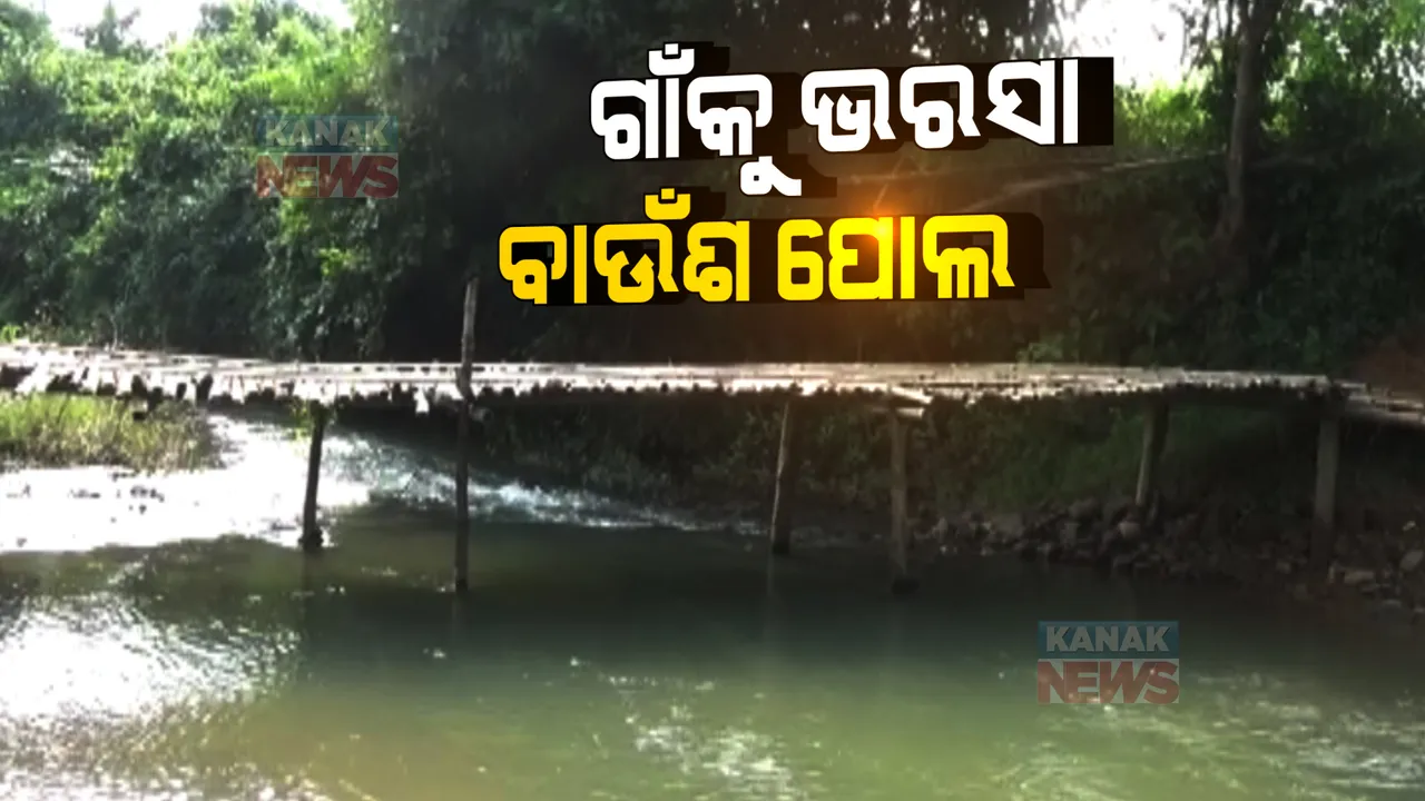  ଗାଁକୁ ଭରସା ବାଉଁଶ ପୋଲ: ସ୍ୱାଧିନତାର ଦୀର୍ଘ ୭ ଦଶନ୍ଧି ପରେ ବି ନଦୀ ପାର ହେବା ପାଇଁ ନାହଁ ପକ୍କା ପୋଲ 
