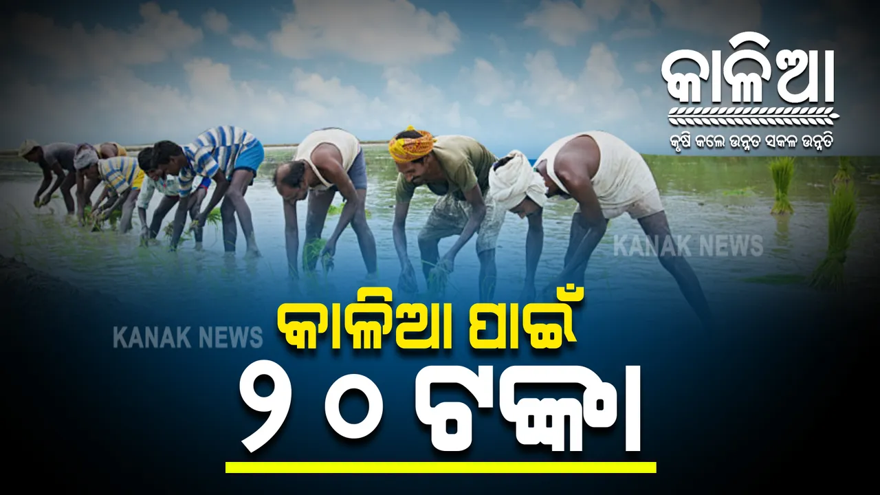  ହିତାଧିକାରୀଙ୍କ ଠାରୁ ପ୍ରମାଣପତ୍ର ପାଇଁ ଟଙ୍କା ନେଉଛନ୍ତି ସରକାରୀ ବାବୁ । ୨୦ ଟଙ୍କା ଦେଲେ ମିଳୁଛି କାଳିଆ ଟଙ୍କା