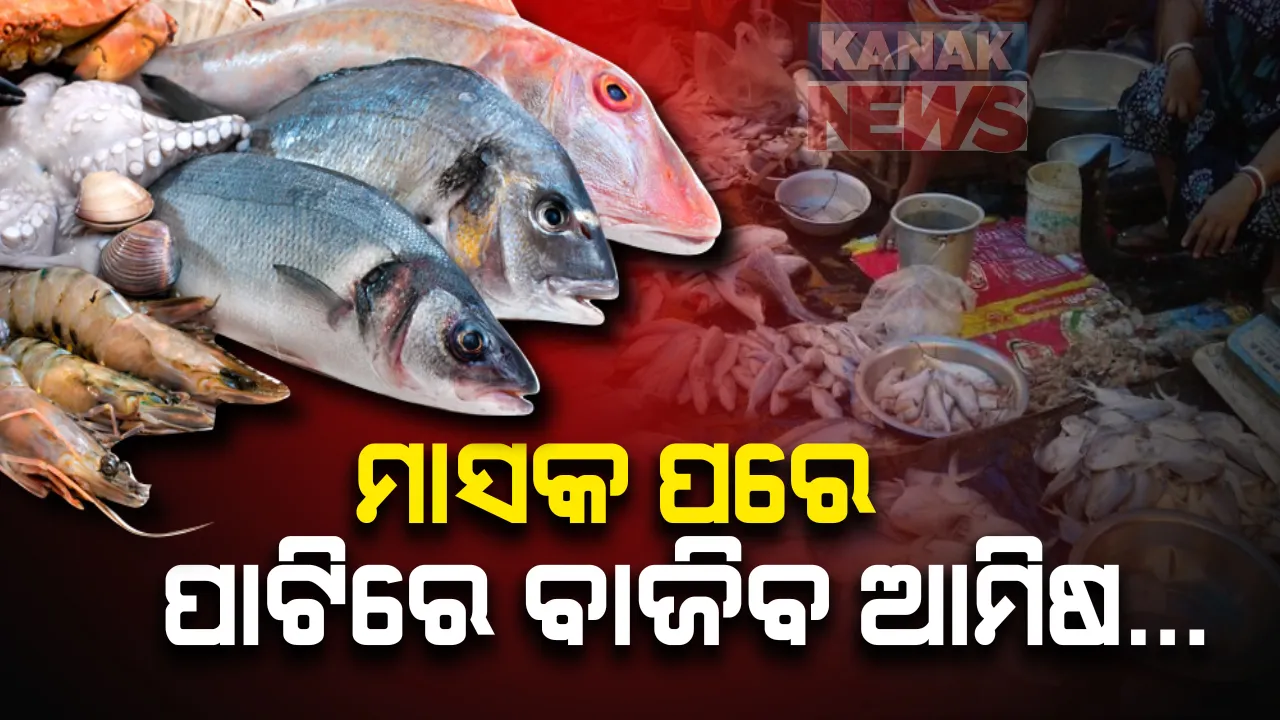  ସରିଲା କାର୍ତ୍ତିକ ମାସ, ଆଜି ଛାଡଖାଇ । ଜାଣନ୍ତୁ, ଆମିଷ ବଜାରରେ କେତେ ରହିଛି ଦାମ...