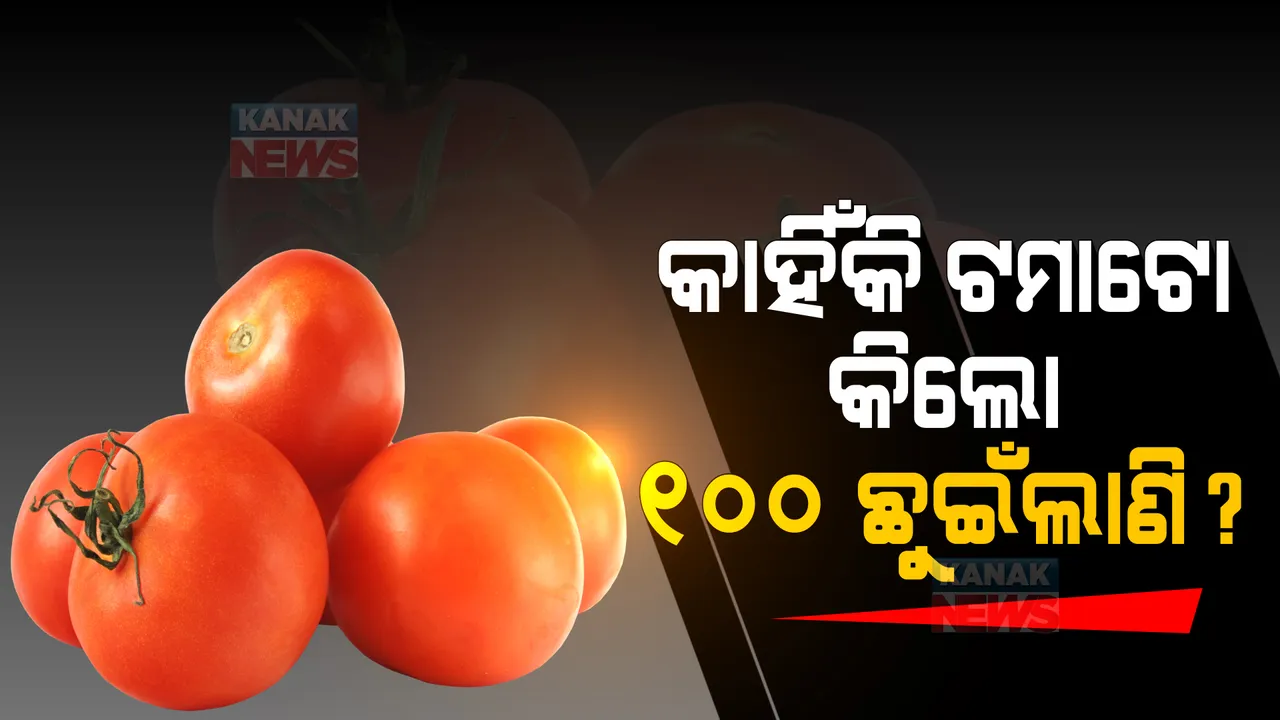  କାହିଁକି ଶୀତଦିନରେ ୧୦୦ ଟଙ୍କା ଛୁଇଁଲାଣି ଟମାଟୋ କିଲୋ? ଜାଣନ୍ତୁ ଏହା ପଛର କାରଣ କଣ?