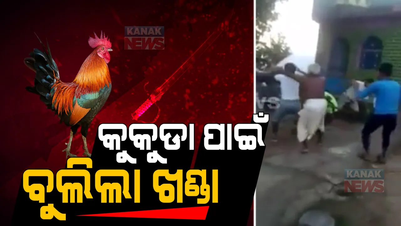  କୁକୁଡା ଉପରେ ଗାଡି ଚଢିଗଲା ବୋଲି... । ଠେଙ୍ଗା ଉଠିଲା, ଖଣ୍ଡା ବୁଲିଲା । 