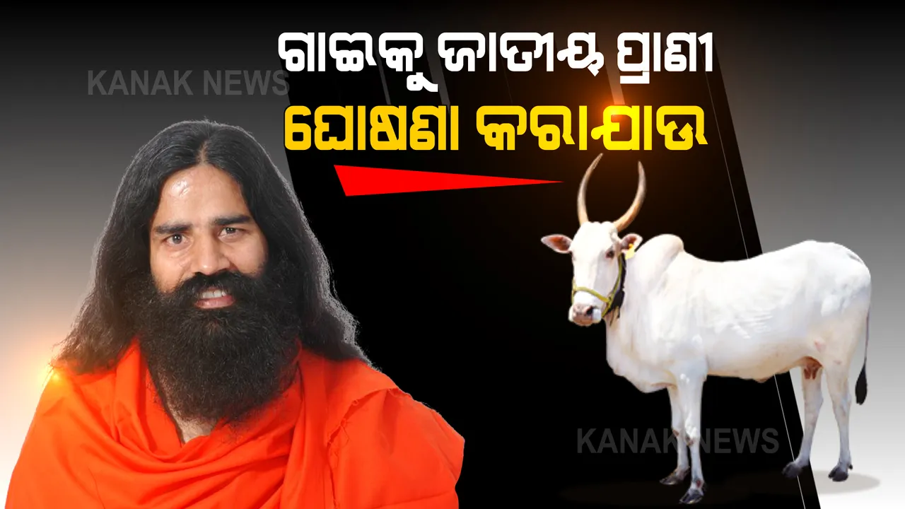  ଗାଈକୁ ଜାତୀୟ ପ୍ରାଣୀ ଘୋଷଣା କରାଯାଉ । ଦାବି ଦୋହରାଇଲେ ବାବା ରାମଦେବ