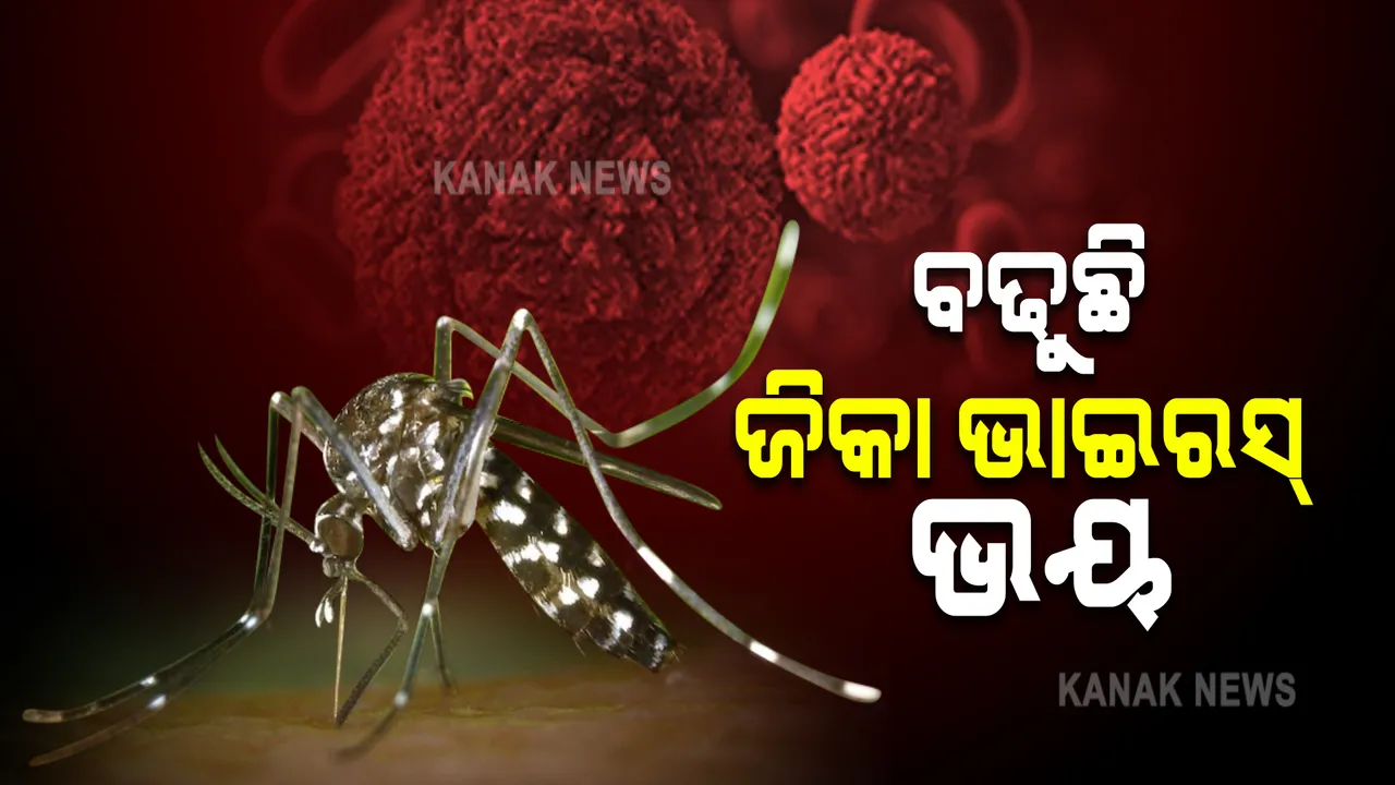  ବଢୁଛି ଜିକା ଭାଇରସ୍ ଭୟ । ଗୋଟିଏ ଦିନରେ ୩୦ମାମଲା