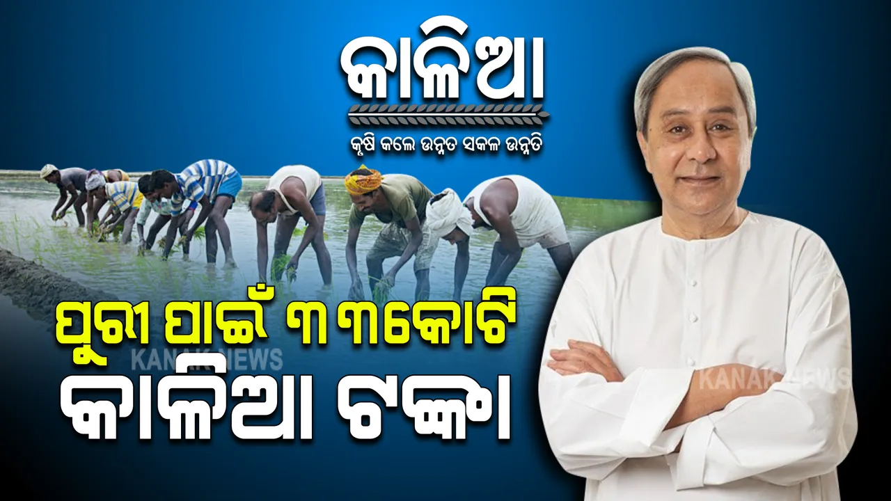  ପୁରୀ ଜିଲ୍ଲା ଚାଷୀମାନଙ୍କ ପାଇଁ ମୁଖ୍ୟମନ୍ତ୍ରୀଙ୍କ କାଳିଆ ସହାୟତା ଘୋଷଣା : ଜିଲ୍ଲାର ୧,୬୫,୧୩୧ ଚାଷୀ ପାଇବେ ୩୩କୋଟି ଟଙ୍କାର ସହାୟତା