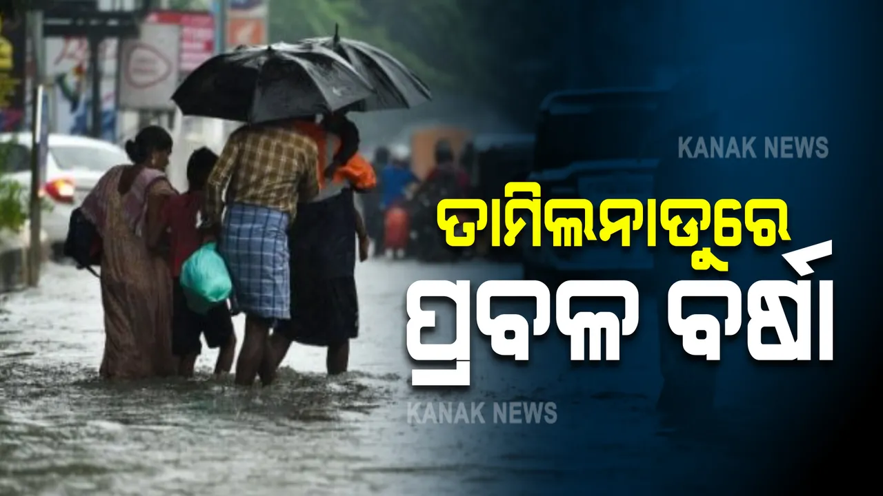  ତାମିଲନାଡୁରେ ପ୍ରବଳ ବର୍ଷା, ଗଲାଣି ୧୪ ଜୀବନ : ଗଛ ପଡି ରାସ୍ତା ଅବରୋଧ