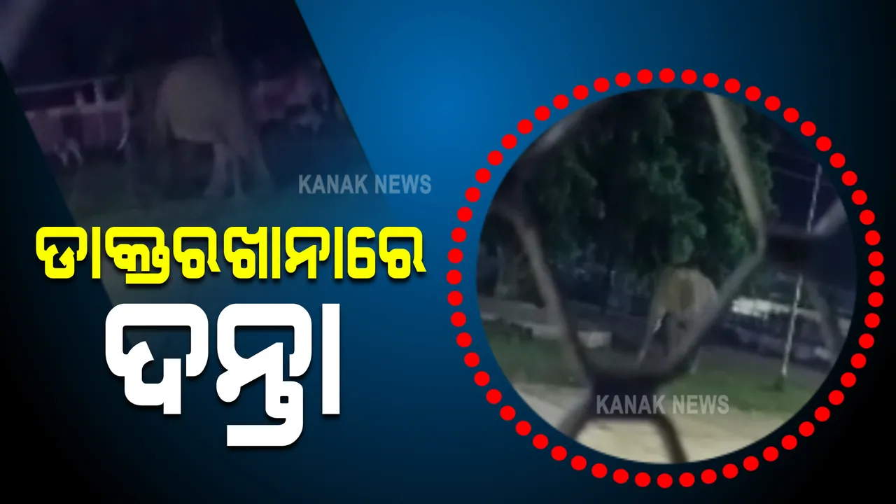  ଖାଦ୍ୟ ଅନ୍ୱେଷଣରେ ଡାକ୍ତରଖାନାରେ ପଶିଲା ଦନ୍ତା ହାତୀ । ଭୟଭୀତ ଅବସ୍ଥାରେ ସ୍ଥାନୀୟ ଲୋକ