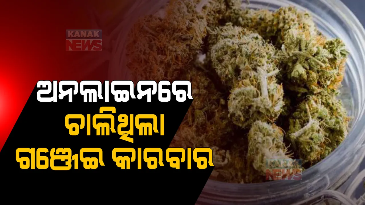  ତରକାରୀ ପତ୍ର ନାମରେ ଅନଲାଇନରେ ଚାଲିଛି ଗଞ୍ଜେଇ ଚାଲାଣ, ୨ ଗିରଫ
