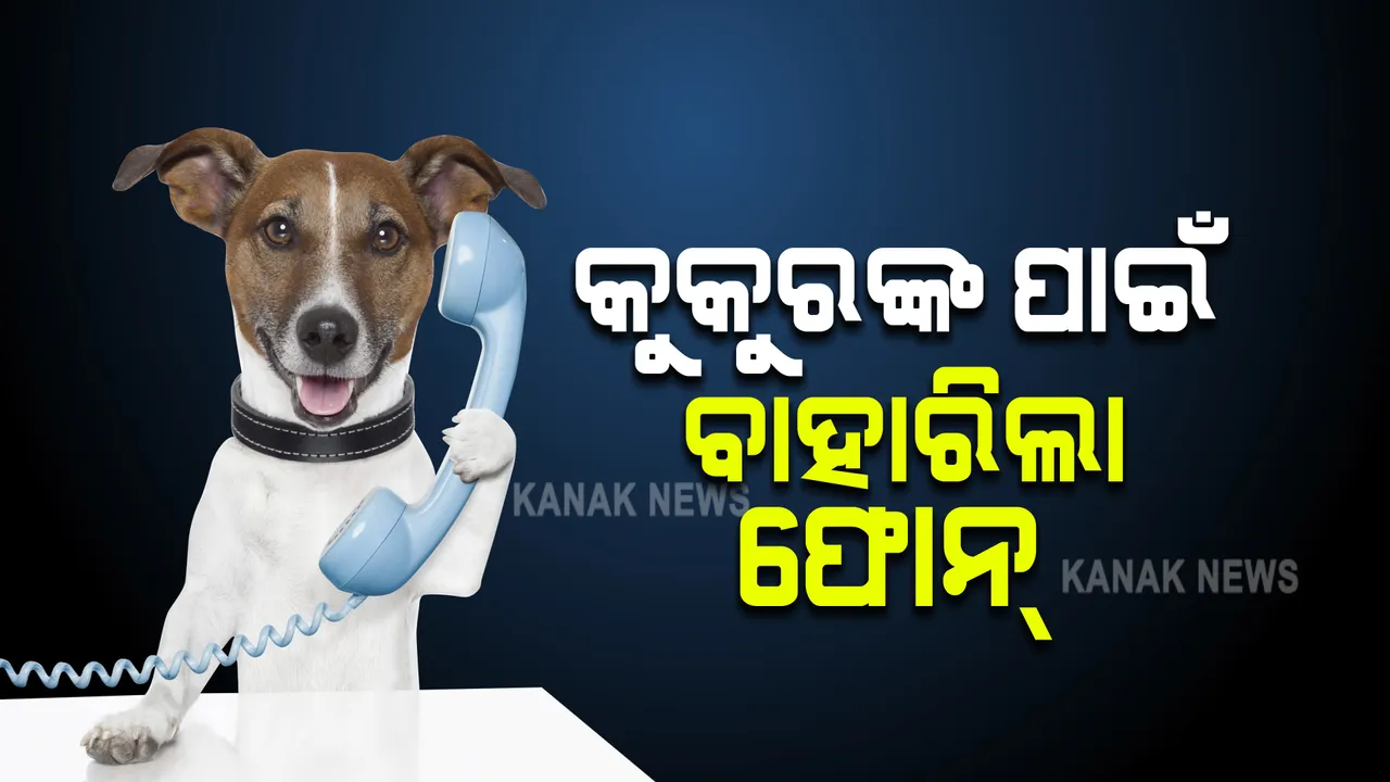  କୁକୁରଙ୍କ ପାଇଁ ବାହାରିଲା ଫୋନ୍  । ଯେବେ ମନ ହେବ ମାଲିକ ସହ ହୋଇପାରିବେ କଥାବର୍ତ୍ତା 