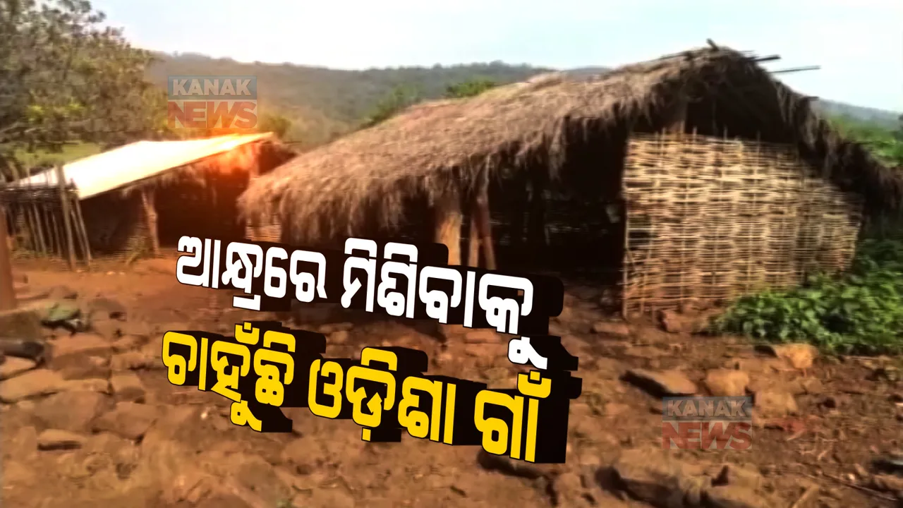  ଓଡିଶାରୁ ମିଳୁନି ମୌଳିକ ସୁବିଧା: ଗାଁରେ ନାହିଁ ଶିକ୍ଷା-ସ୍ୱାସ୍ଥ୍ୟ କି ଗମନାଗମନ ସୁବିଧା, ଆଦିବାସୀ ଗାଁକୁ ଆସୁନାହାନ୍ତି ସରକାରୀ ବାବୁ