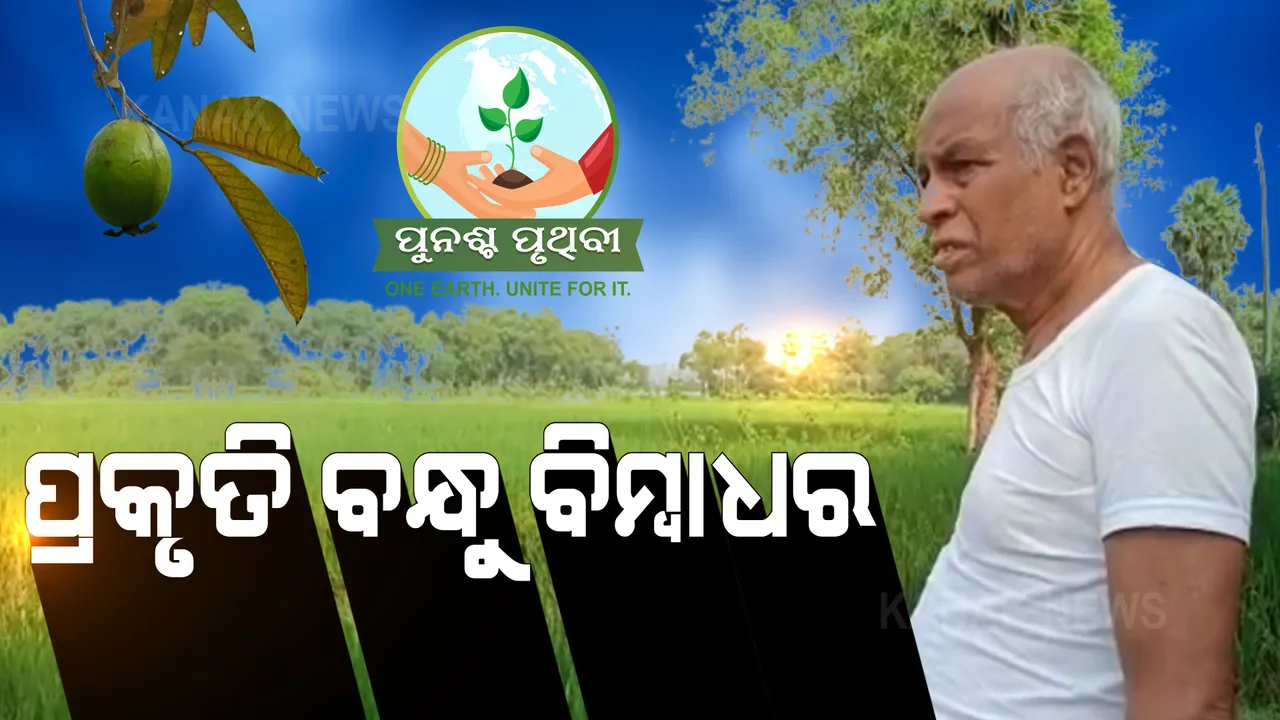  ଗଛ ପ୍ରେମରେ ଗାଁ ଗହଳିର ଗରିବଙ୍କ ଡାକ୍ତର । ନିଜ ଘର ସହ ରାସ୍ତାଘାଟରେ ଲଗାଉଛନ୍ତି ଶହଶହ ଗଛ । ପୁନଶ୍ଚ ପୃଥିବୀ ପାଇଁ ବିମ୍ବାଧରଙ୍କ ପ୍ରୟାସ ଅତୁଳନୀୟ...