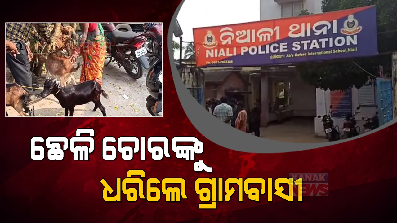  ଗାଁ ଲୋକଙ୍କ କବଜାରେ ଛେଳିଚୋର । ଛେଳିଙ୍କ ମୁହଁରେ ସେଲୋ ଟେପ୍ ମାରି ଚୋରି କରୁଥିବା ୨ ଜଣଙ୍କୁ ଧରି ନିଆଳୀ ପୁଲିସର ଜିମା ଦେଲେ ଗ୍ରାମବାସୀ ।