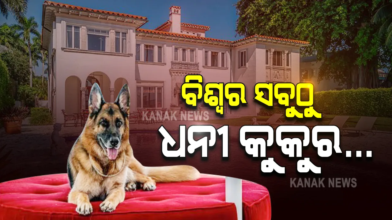  ବିଶ୍ୱର ସବୁଠୁ ଧନୀ କୁକୁର... ବିକ୍ରି ହେବ ୨୩୮ କୋଟିର ଆଲିସାନ୍ ବଙ୍ଗଳା