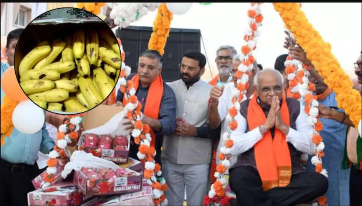  ଗୁଜୁରାଟ ମୁଖ୍ୟମନ୍ତ୍ରୀଙ୍କୁ ଠକିଦେଲେ ଫଳ ବେପାରୀ । ମଗାଇଥିଲେ ଡ୍ରାଗନ ଫ୍ରୁଟର ବାକ୍ସ, ଖୋଲିଲା ବେଳେ ବାହାରିଲା ଏମିତି ଜିନିଷ