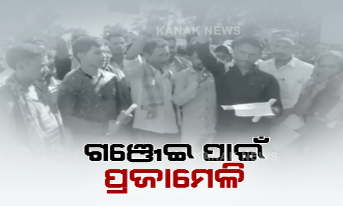  ସ୍ୱାଭିମାନ ଅଞ୍ଚଳରେ ଗଞ୍ଜେଇ ଗଛ କଟାକୁ ବିରୋଧ । ଲୋକେ କହିଲେ, ଫସଲର ଉଚିତ୍ ମୂଲ୍ୟ ମିଳିଲେ ଛାଡିଦେବୁ ଗଞ୍ଜେଇ ଚାଷ । 