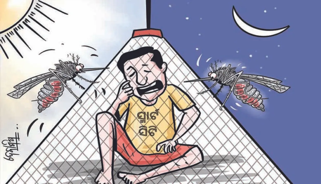  ରାଜଧାନୀରେ ମଶାଙ୍କ ଉତ୍ପାତ, ବିଏମସି ସାଜିଛି ନିଦାବିଷ୍ଣୁ ।
