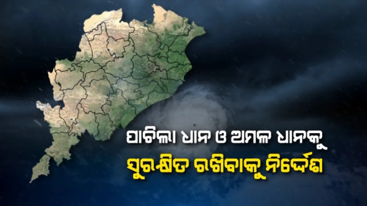  ଲଘୁଚାପ ପ୍ରଭାବରେ ରାଜ୍ୟରେ ୩ ତାରିଖରୁ ବର୍ଷା ସମ୍ଭାବନା । ବର୍ଷା ନେଇ ପୂର୍ବାନୁମାନ ପରେ ଚାଷୀଙ୍କ ମନରେ ଛନକା