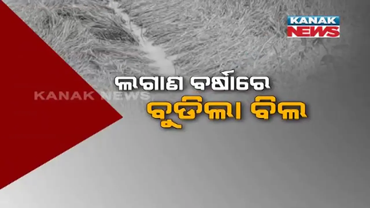  କାଳ ହେଲା ଅଦିନିଆ ବର୍ଷା । ବିଲରେ ଭାସିଲା ପାଚିଲା ଧାନ । ଗଞ୍ଜାମ ଓ ଗଜପତି ଜିଲ୍ଲାରେ ଫସଲ ଉଜାଡ଼ିଦେଲା ବର୍ଷା