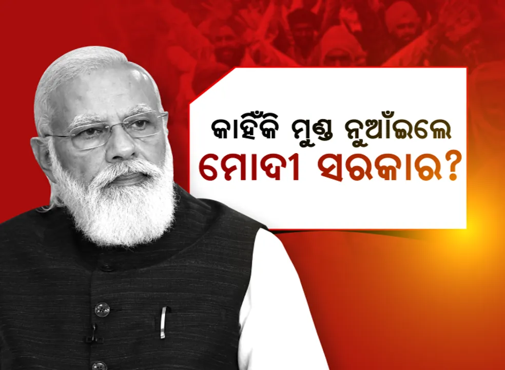  କାହିଁକି ମୁଣ୍ଡ ନୁଆଁଇଲେ ମୋଦୀ ସରକାର? ବର୍ଷେକାଳ ଲଢ଼େଇ ପରେ କାହିଁକି ଦେଲେ ପଛଘୁଂଚା?