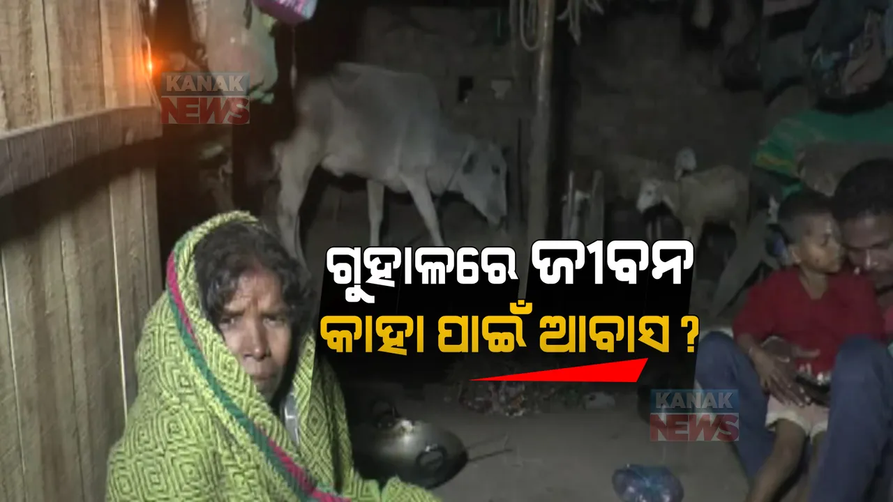  ମୁଣ୍ଡ ଉପରେ ନାହିଁ ପକ୍କାଘର । ଗୁହାଳରେ ବିତୁଛି ଶତାଧିକ ପରିବାରର ଜୀବନ, କାହା ପାଇଁ ଆବାସ ଯୋଜନା ?