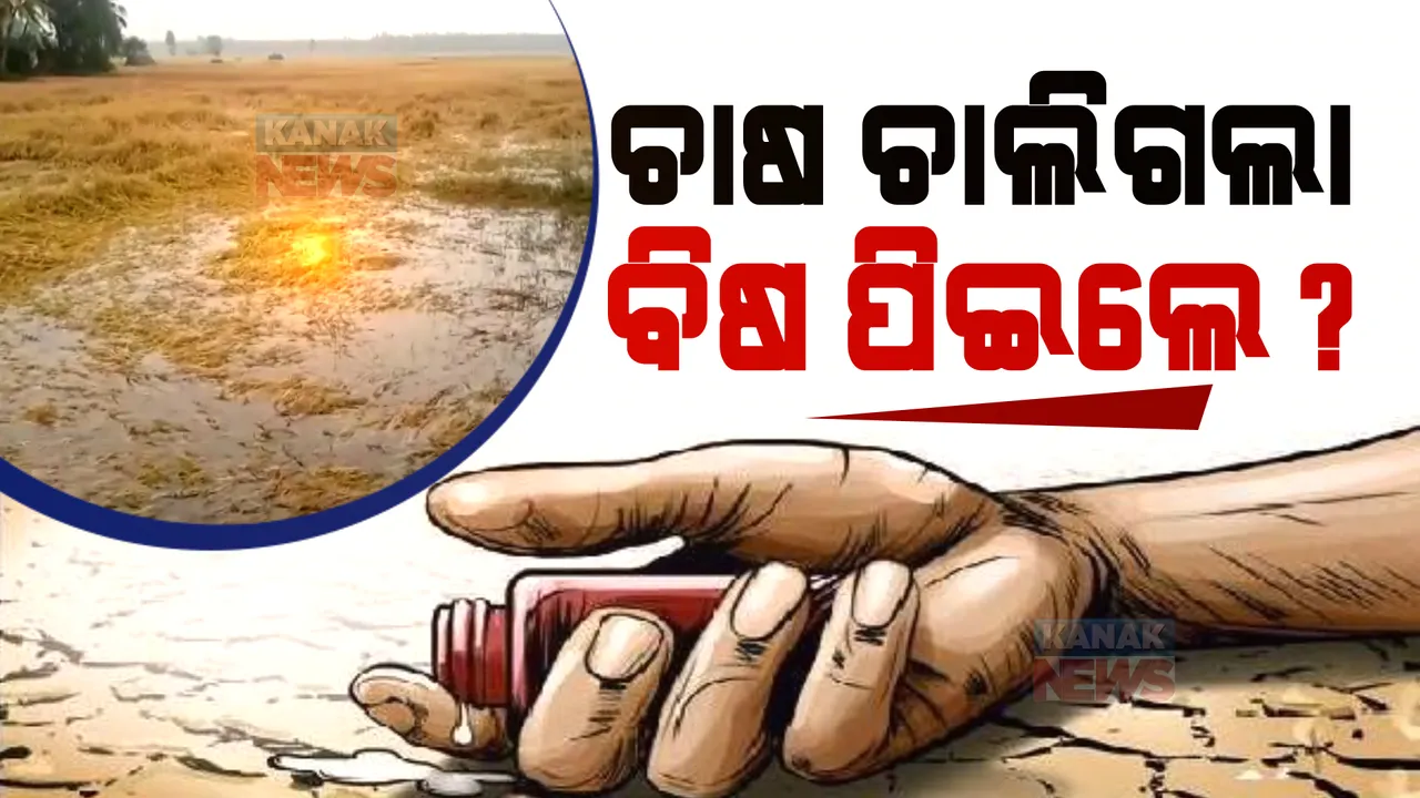  ଦୁଃଖ ଦେଇଗଲା ଜୱାଦ । ଗଞ୍ଜାମ ପାତ୍ରପୁରରେ କୀଟନାଶକ ପିଇ ଆତ୍ମହତ୍ୟା କଲେ ଚାଷୀ । ଉପକୂଳ ଜିଲ୍ଲାରେ ବ୍ୟାପକ କ୍ଷୟକ୍ଷତି 